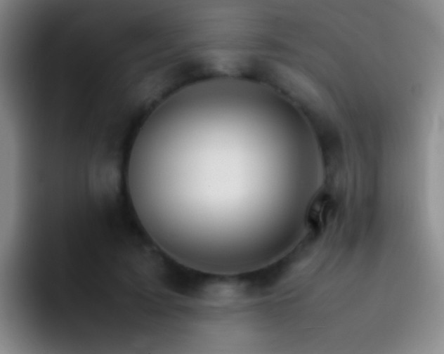 X0000092290595200709211215