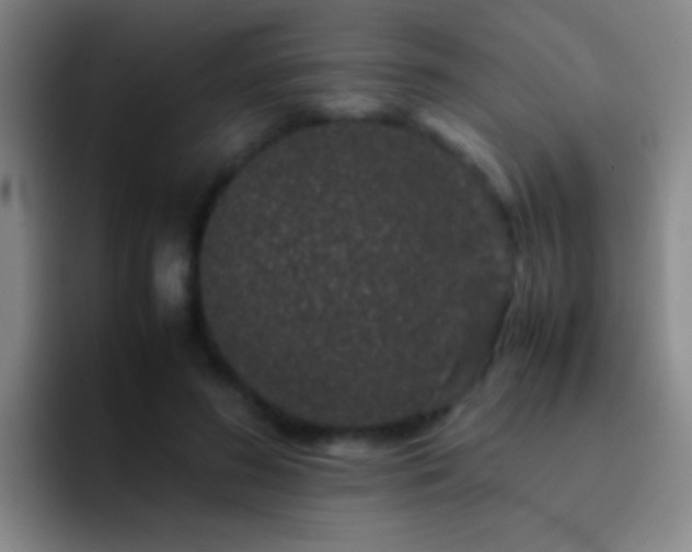 X0000092290596200709211215