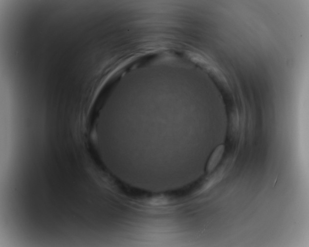 X0000092290600200709211214