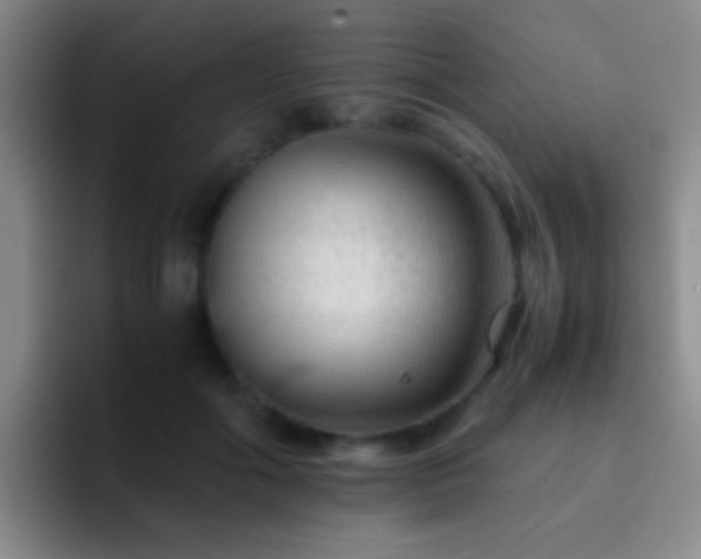 X0000092290602200709211214