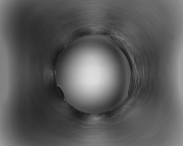 X0000092290613200709211214