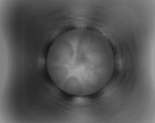 X0000092290614200709211214