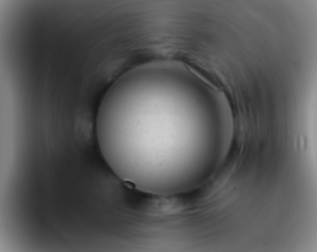 X0000092290615200709211214