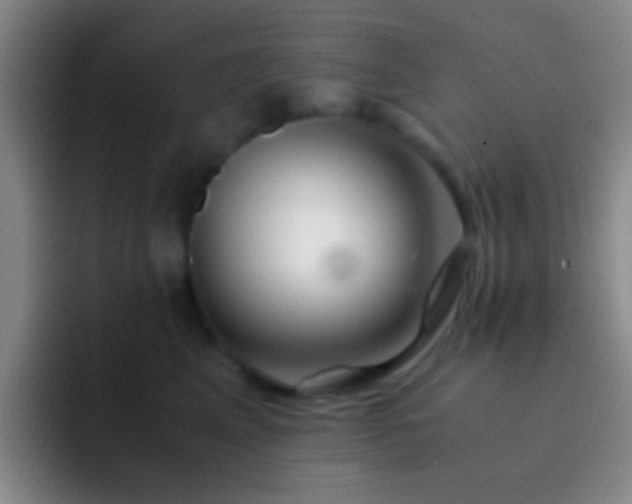 X0000092290617200709211214