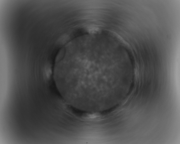 X0000092290618200709211214