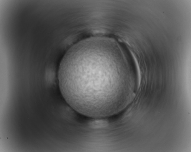 X0000092290619200709211214