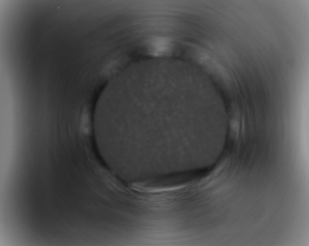 X0000092290620200709211214