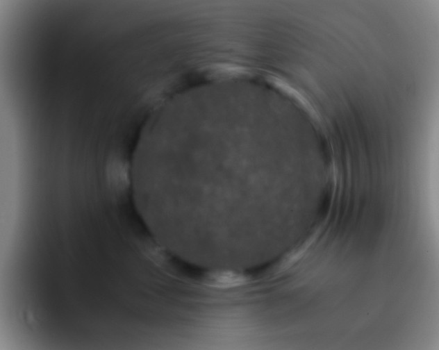 X0000092290621200709211214