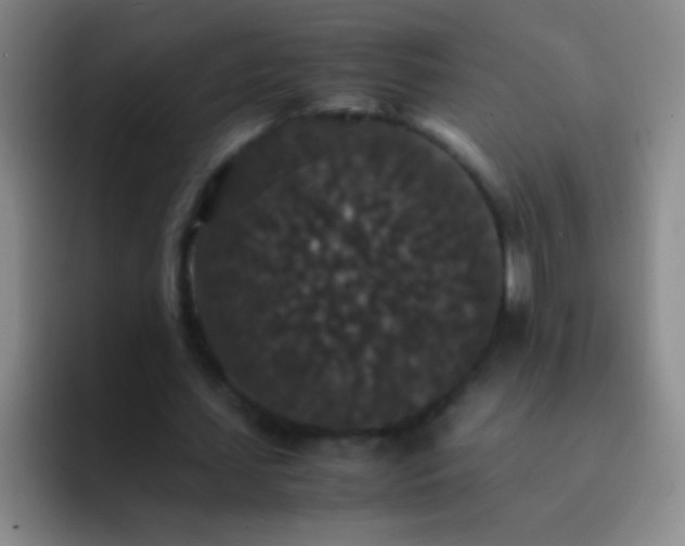 X0000092290627200709211214