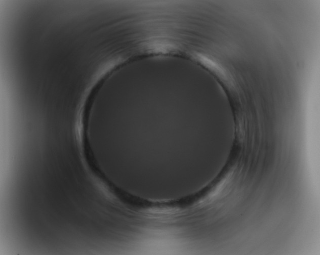 X0000092290630200709211214