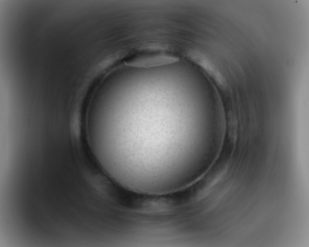 X0000092290631200709211214