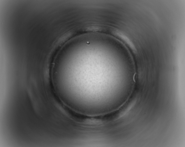 X0000092290633200709211214