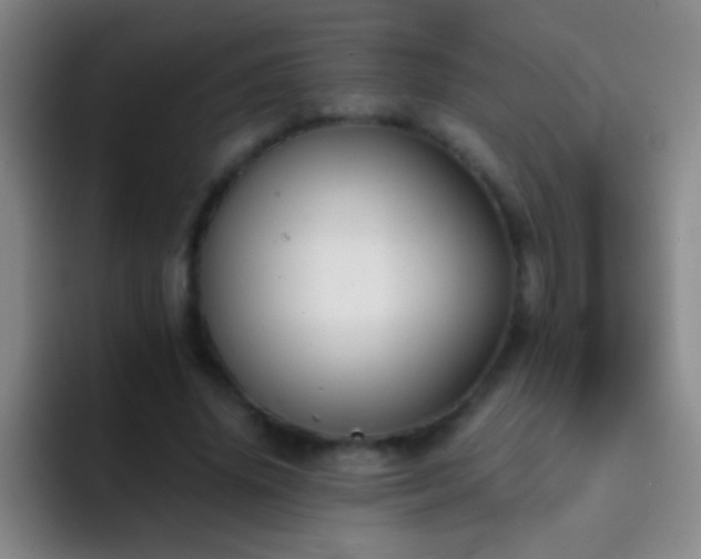 X0000092290636200709211214