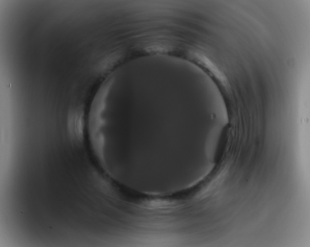 X0000092290637200709211214