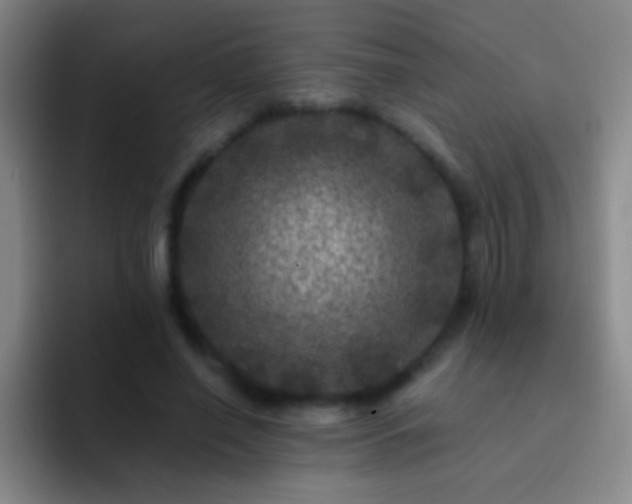 X0000092290638200709211214