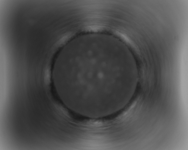 X0000092290640200709211214