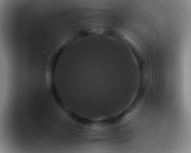 X0000092290641200709211214