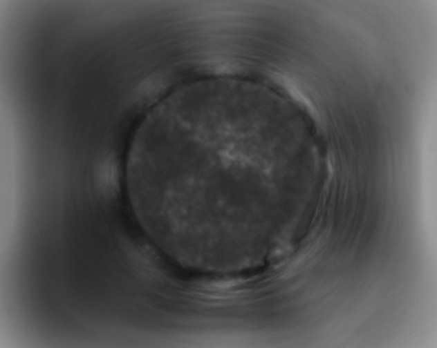 X0000092290643200709211214