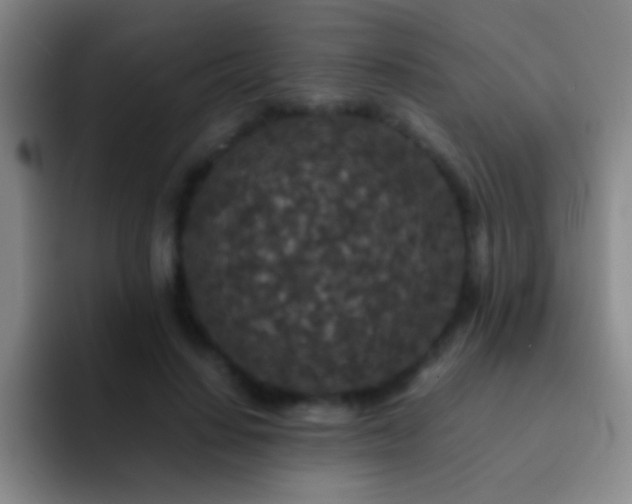 X0000092290644200709211214