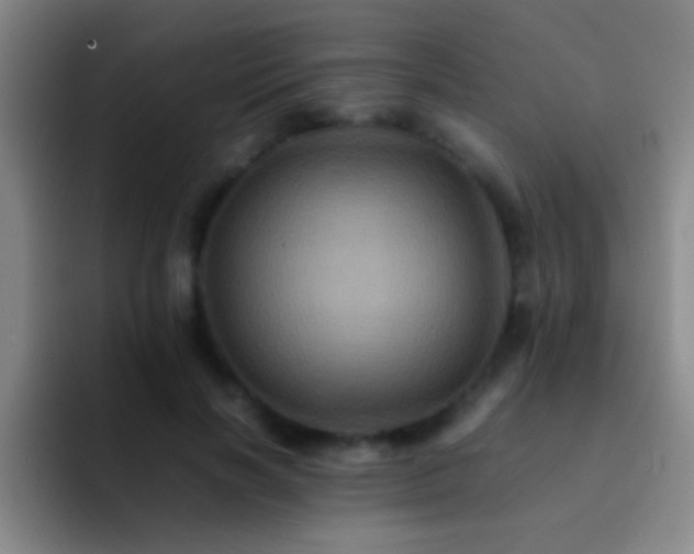 X0000092290646200709211214