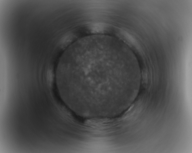 X0000092290648200709211214