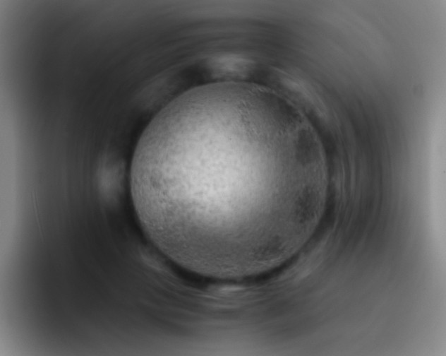 X0000092290649200709211214