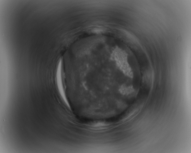 X0000092290651200709211214