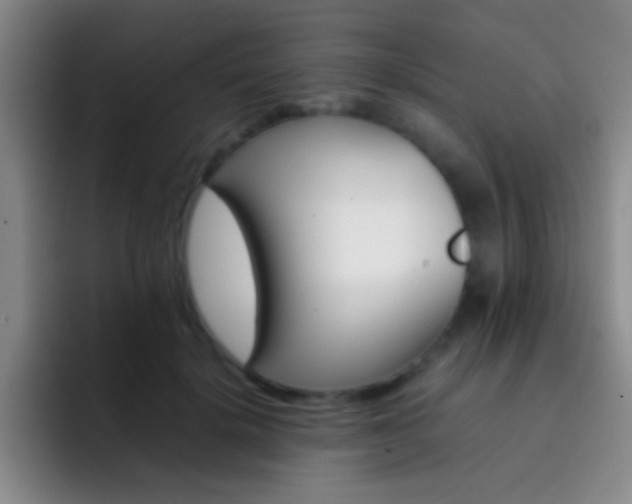 X0000092290652200709211214