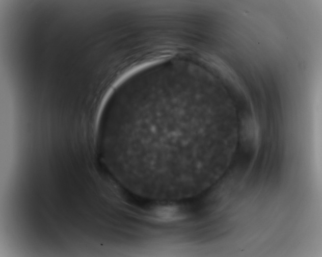 X0000092290653200709211214