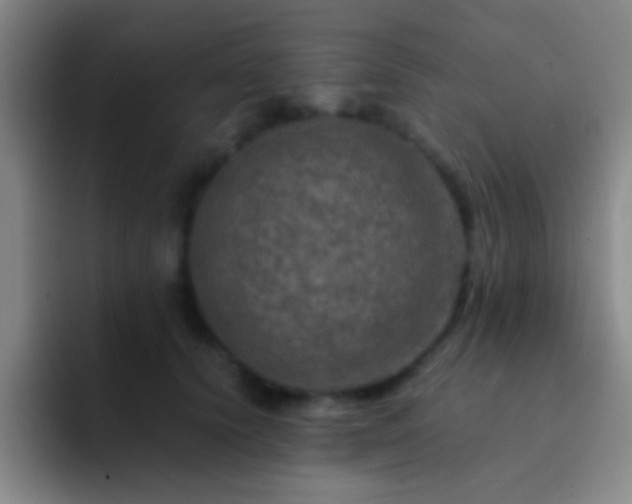 X0000092290656200709211214