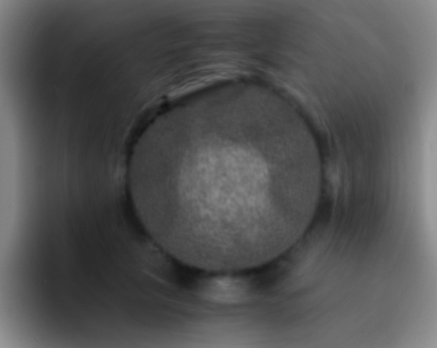 X0000092290657200709211214