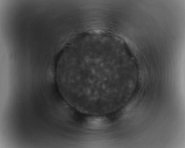 X0000092290661200709211214