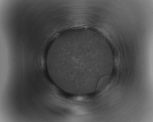 X0000092290662200709211214