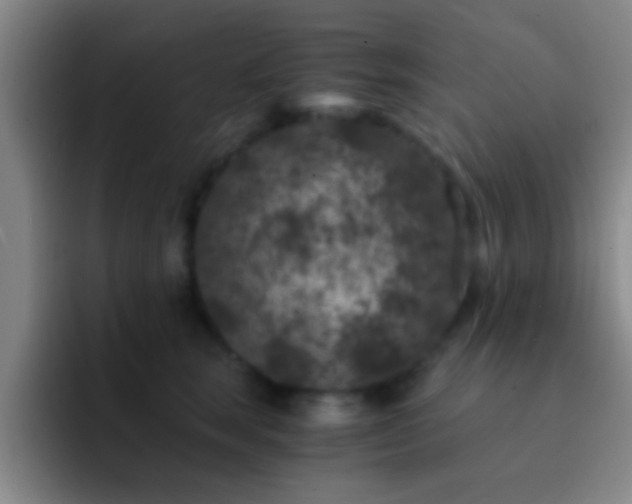 X0000092290663200709211214