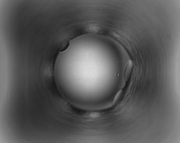 X0000092290665200709211214