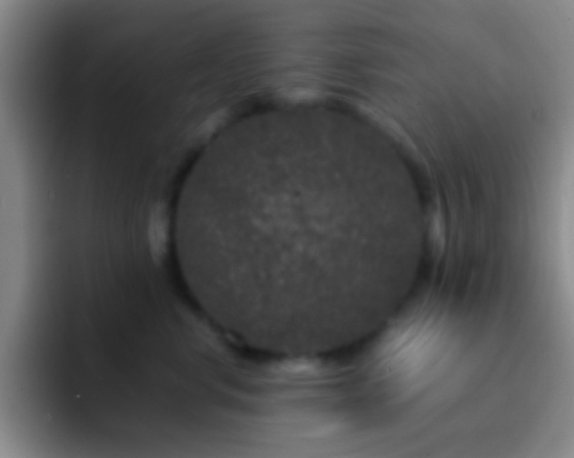 X0000092290668200709211214