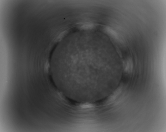 X0000092290669200709211214