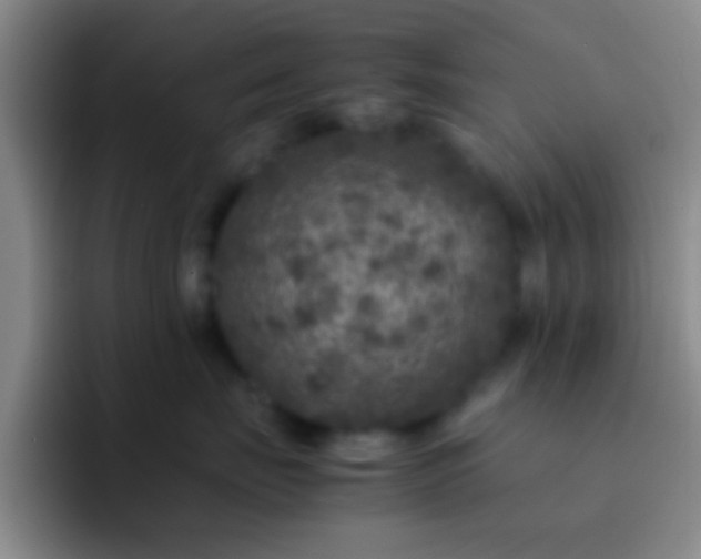 X0000092290671200709211214