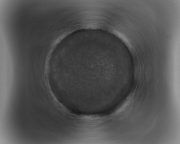 X0000092290673200709211214