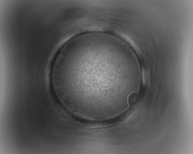 X0000092290675200709211214