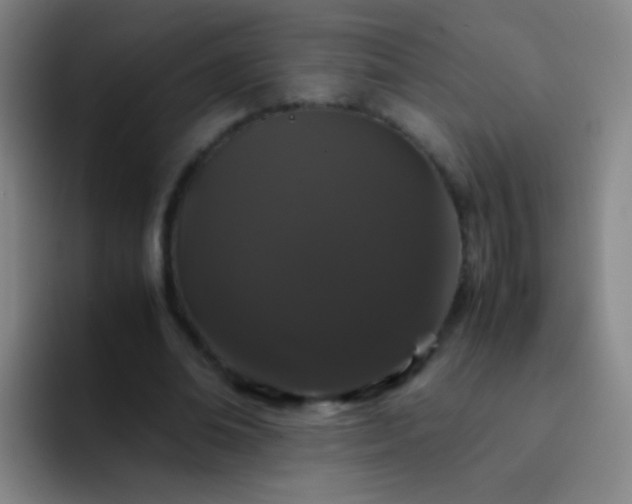 X0000092290678200709211214