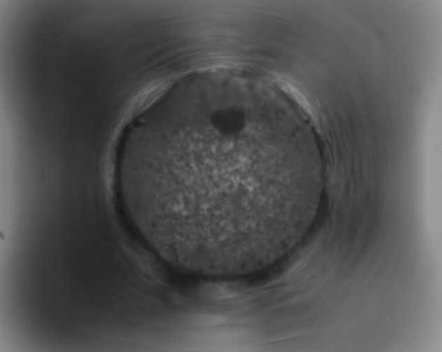 X0000092290679200709211214