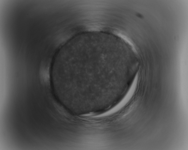 X0000092290681200709211214