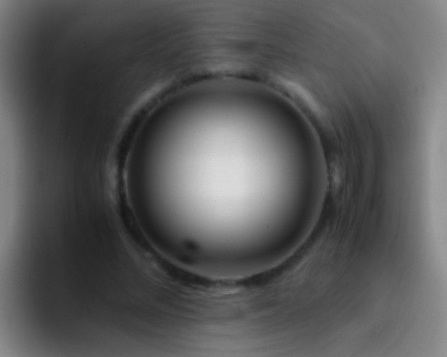 X0000092290684200709211214