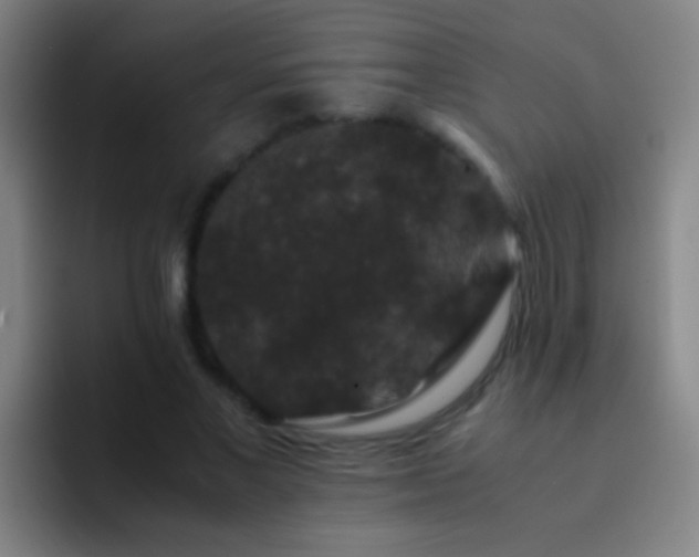 X0000092290685200709211214