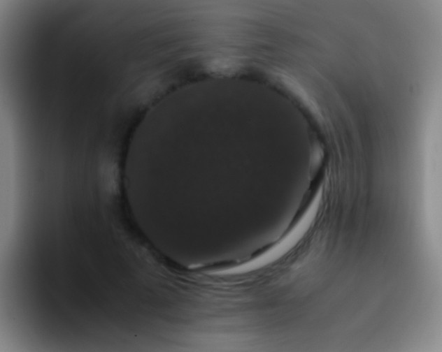 X0000092290689200709211213