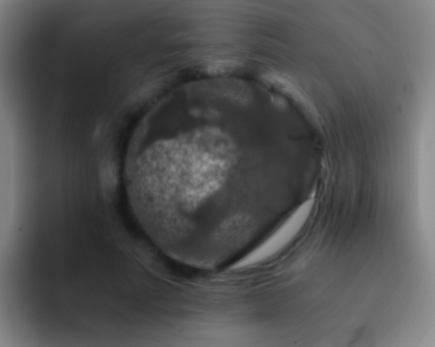 X0000092290691200709211213