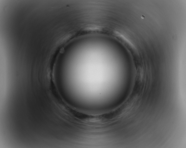 X0000092290692200709211213