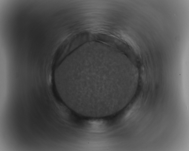 X0000092290693200709211213