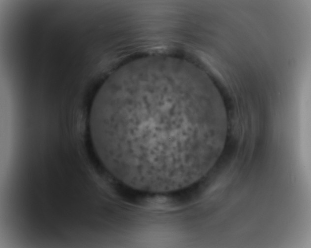 X0000092290695200709211213